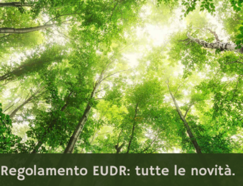 Regolamento EUDR: tutte le novità.