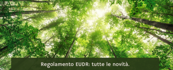 Regolamento EUDR: tutte le novità.