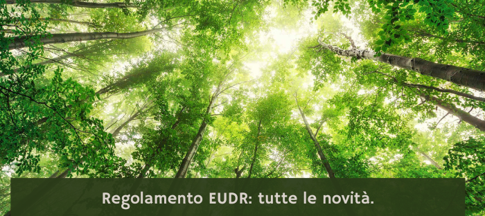 Regolamento EUDR: tutte le novità.